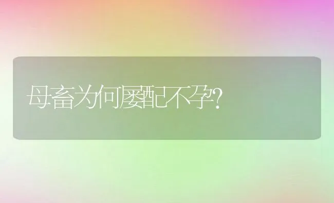 母畜为何屡配不孕？ | 动物养殖学堂