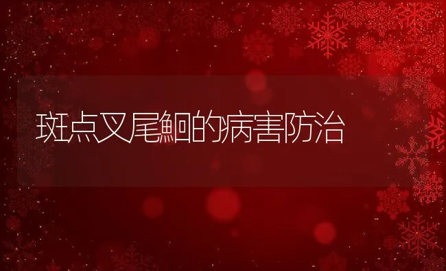 高产鱼池开挖六要点 | 海水养殖技术