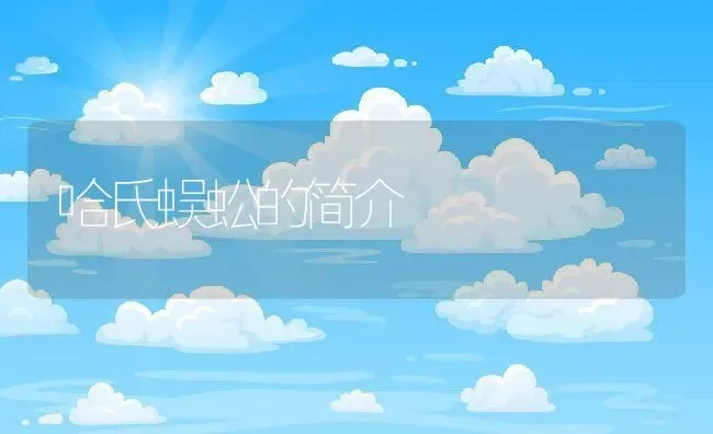 梅雨季节养殖塘怎么管理 | 动物养殖百科