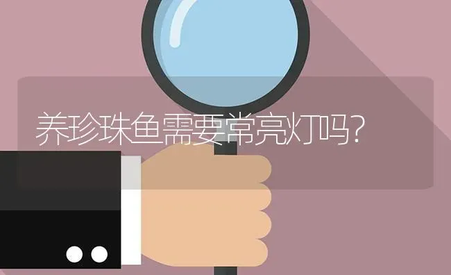 养珍珠鱼需要常亮灯吗？ | 鱼类宠物饲养