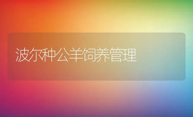 波尔种公羊饲养管理 | 动物养殖饲料