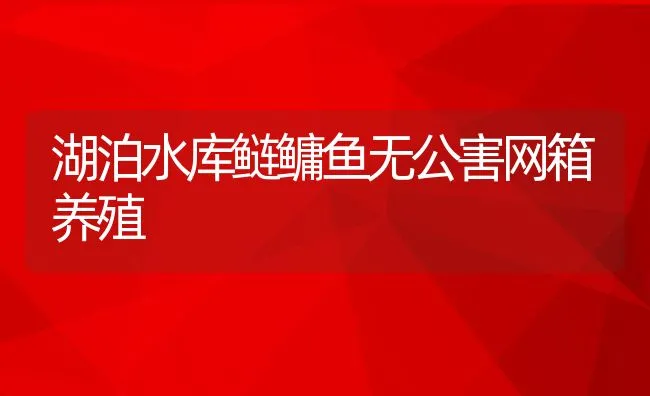 黄鳝常见疾病的防治 | 动物养殖学堂