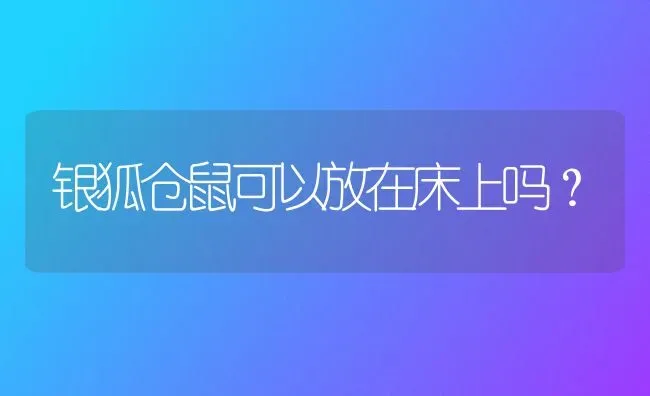 银狐仓鼠可以放在床上吗？ | 动物养殖问答