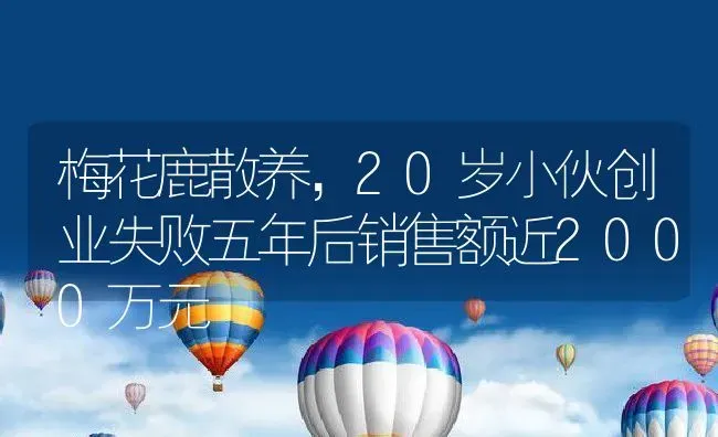 梅花鹿散养，20岁小伙创业失败五年后销售额近2000万元 | 动物养殖百科