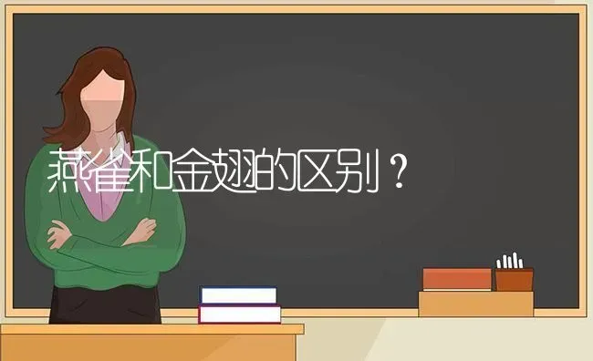 燕雀和金翅的区别？ | 动物养殖问答