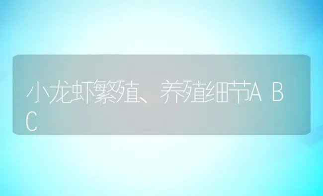 小龙虾繁殖、养殖细节ABC | 动物养殖百科