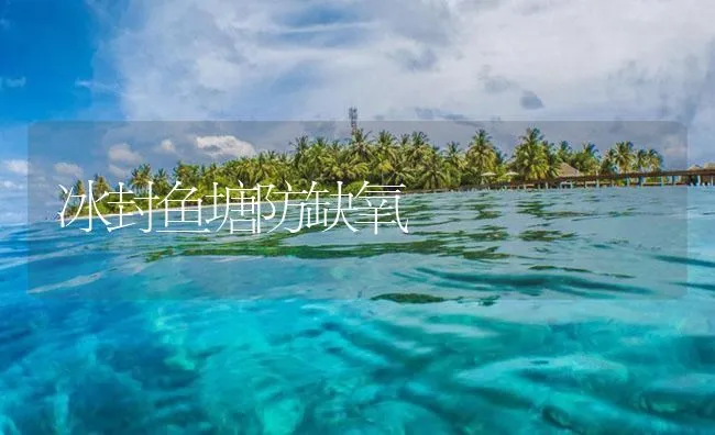 冰封鱼塘防缺氧 | 海水养殖技术