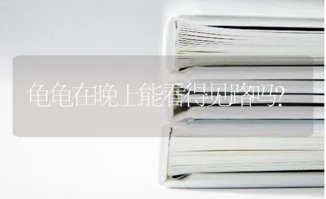 龟龟在晚上能看得见路吗？ | 动物养殖问答