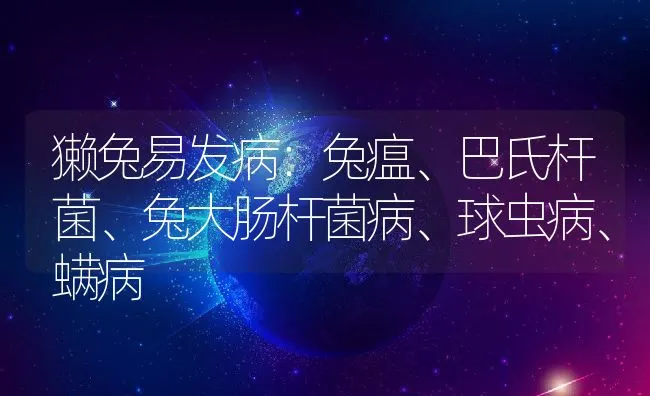 獭兔易发病：兔瘟、巴氏杆菌、兔大肠杆菌病、球虫病、螨病 | 水产养殖知识