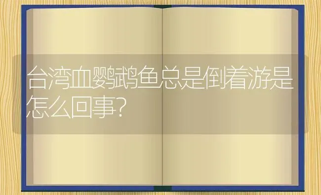 台湾血鹦鹉鱼总是倒着游是怎么回事？ | 鱼类宠物饲养