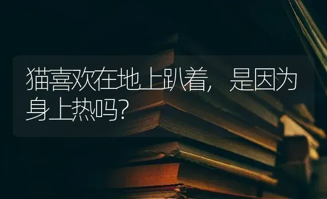 猫喜欢在地上趴着,是因为身上热吗？ | 动物养殖问答