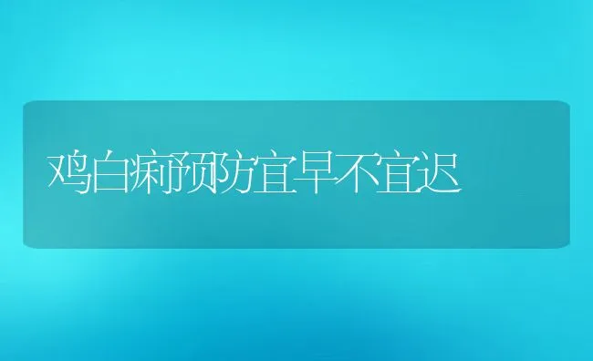 鸡白痢预防宜早不宜迟 | 动物养殖学堂