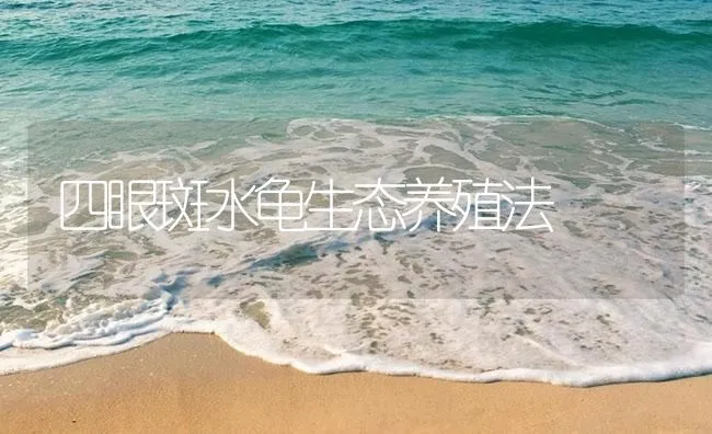 鲤鱼出血病的防治 | 海水养殖技术