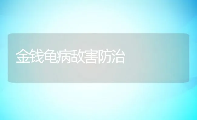 金钱龟病敌害防治 | 动物养殖学堂