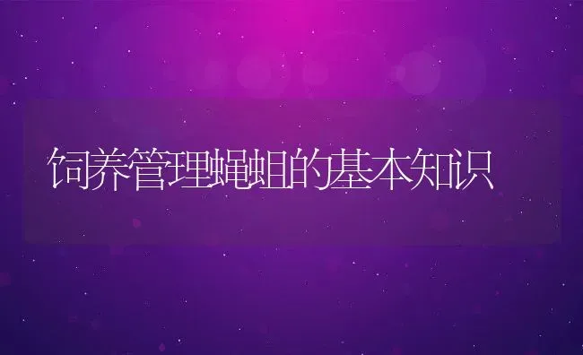 饲养管理蝇蛆的基本知识 | 动物养殖教程