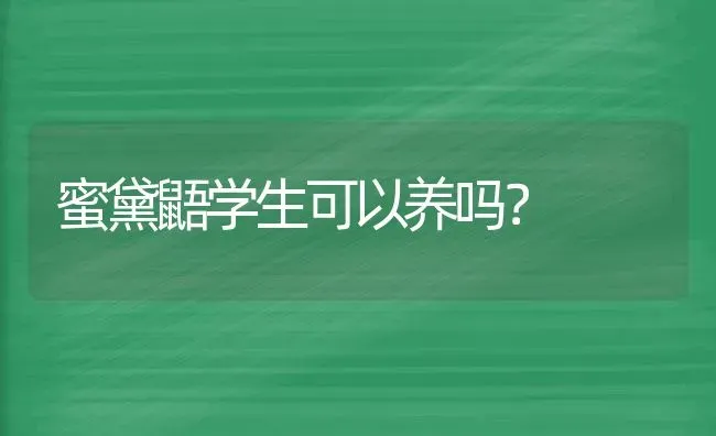 蜜黛鼯学生可以养吗？ | 动物养殖问答