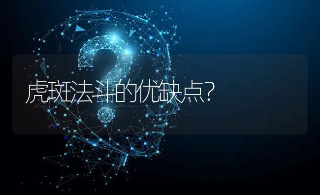 虎斑法斗的优缺点？ | 动物养殖问答