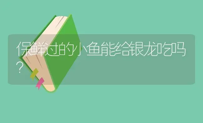 保鲜过的小鱼能给银龙吃吗？ | 鱼类宠物饲养