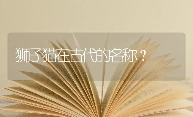 狮子猫在古代的名称？ | 动物养殖问答