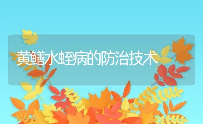 黄鳝水蛭病的防治技术 | 动物养殖学堂