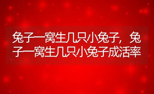 兔子一窝生几只小兔子,兔子一窝生几只小兔子成活率 | 宠物百科知识