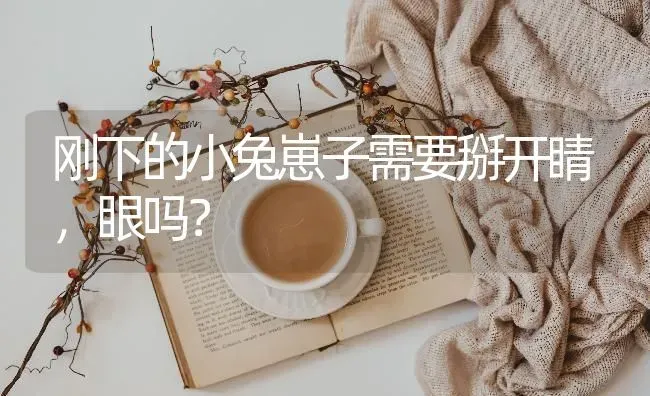 刚下的小兔崽子需要掰开睛，眼吗？ | 动物养殖问答