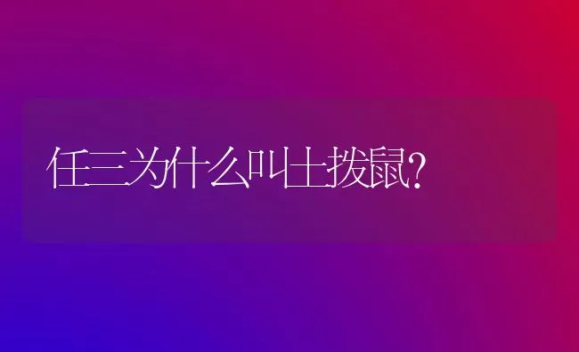 任三为什么叫土拨鼠？ | 动物养殖问答