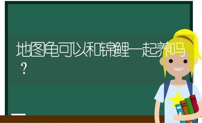 猫咪呕吐黄色粘液，拉稀，不吃东西，只喝水，没精神？ | 动物养殖问答