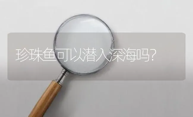 珍珠鱼可以潜入深海吗？ | 鱼类宠物饲养