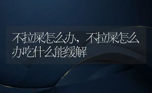 不拉屎怎么办,不拉屎怎么办吃什么能缓解 | 宠物百科知识