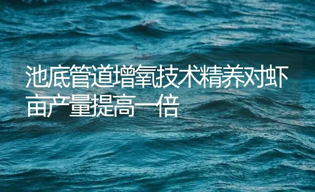 池底管道增氧技术精养对虾亩产量提高一倍 | 海水养殖技术