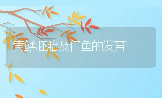 黄鳝胚胎及仔鱼的发育 | 动物养殖百科