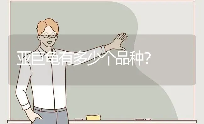 亚巨龟有多少个品种？ | 动物养殖问答