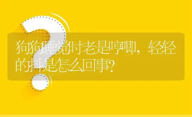 狗狗睡觉时老是哼唧，轻轻的抖是怎么回事？ | 动物养殖问答