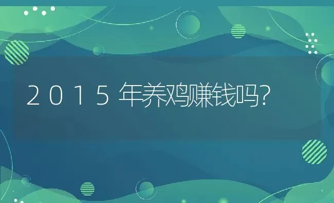 2015年养鸡赚钱吗？ | 动物养殖百科