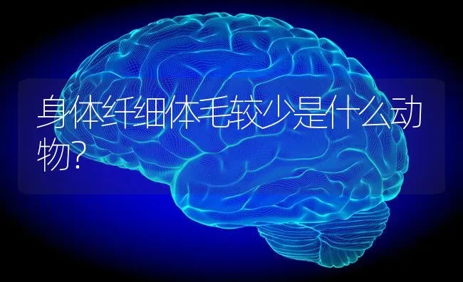 身体纤细体毛较少是什么动物？ | 动物养殖问答