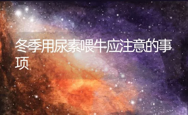 有效防治獭兔球虫病 | 动物养殖学堂