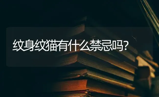 纹身纹猫有什么禁忌吗？ | 动物养殖问答