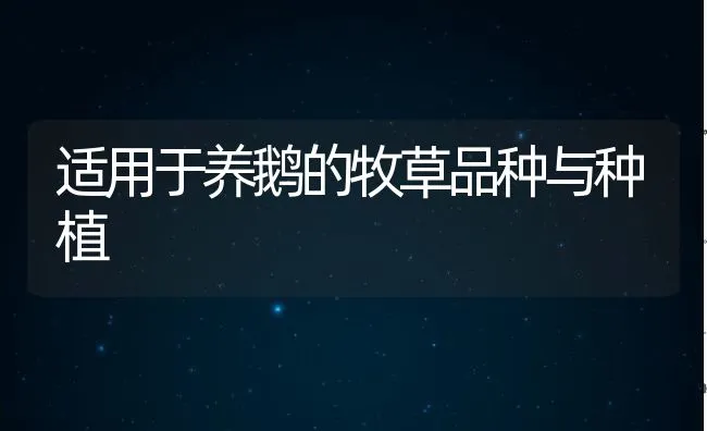 适用于养鹅的牧草品种与种植 | 动物养殖饲料