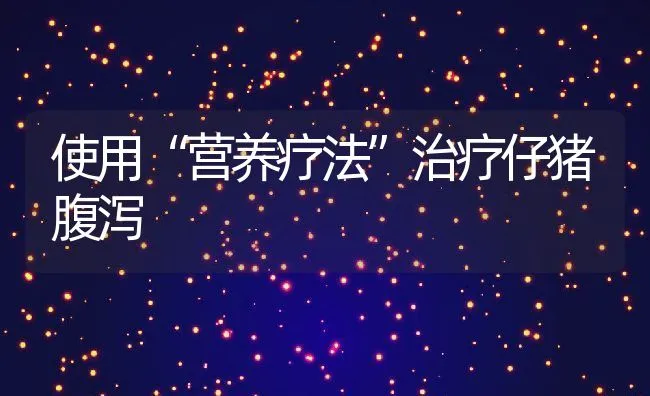 使用“营养疗法”治疗仔猪腹泻 | 动物养殖饲料