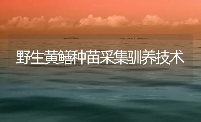 野生黄鳝种苗采集驯养技术 | 海水养殖技术