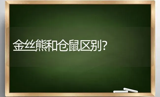 金丝熊和仓鼠区别？ | 动物养殖问答