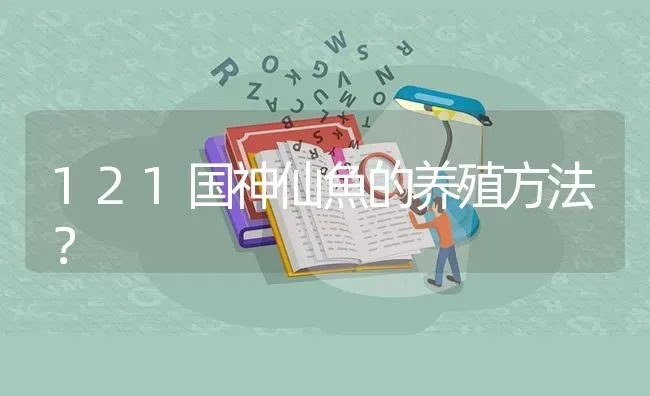 121国神仙魚的养殖方法？ | 鱼类宠物饲养