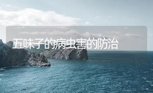 五味子的病虫害的防治 | 海水养殖技术