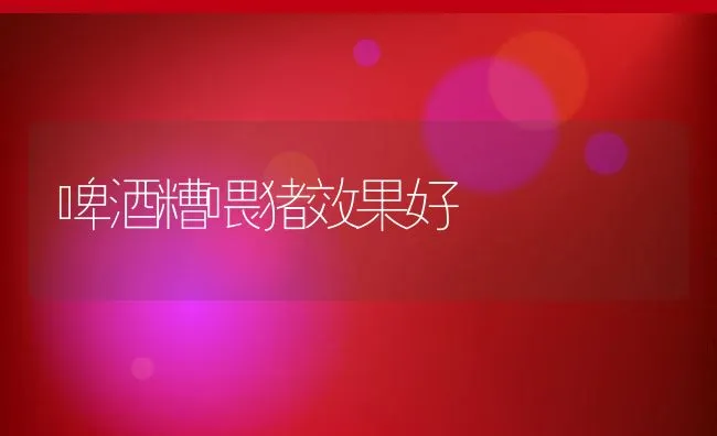 网箱内套养鳜鱼可以吗？ | 海水养殖技术