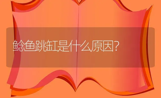 鲶鱼跳缸是什么原因？ | 鱼类宠物饲养