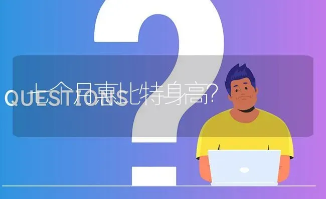 七个月惠比特身高？ | 动物养殖问答