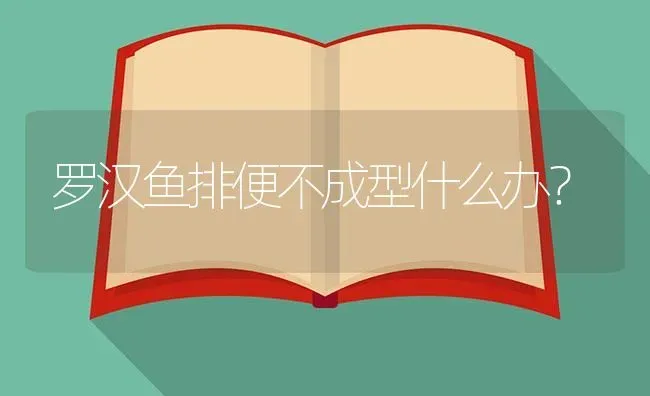 迷你鹦鹉卵几天能从罐壁上掉下来？ | 鱼类宠物饲养