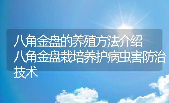 养猪户自辨猪病：简单又使用的小技巧 | 动物养殖学堂