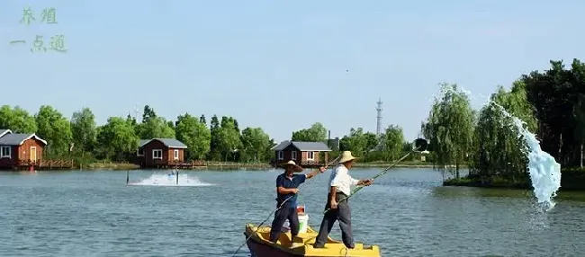 水产养殖中水质监测和调节要点，水质调节就像空气保护